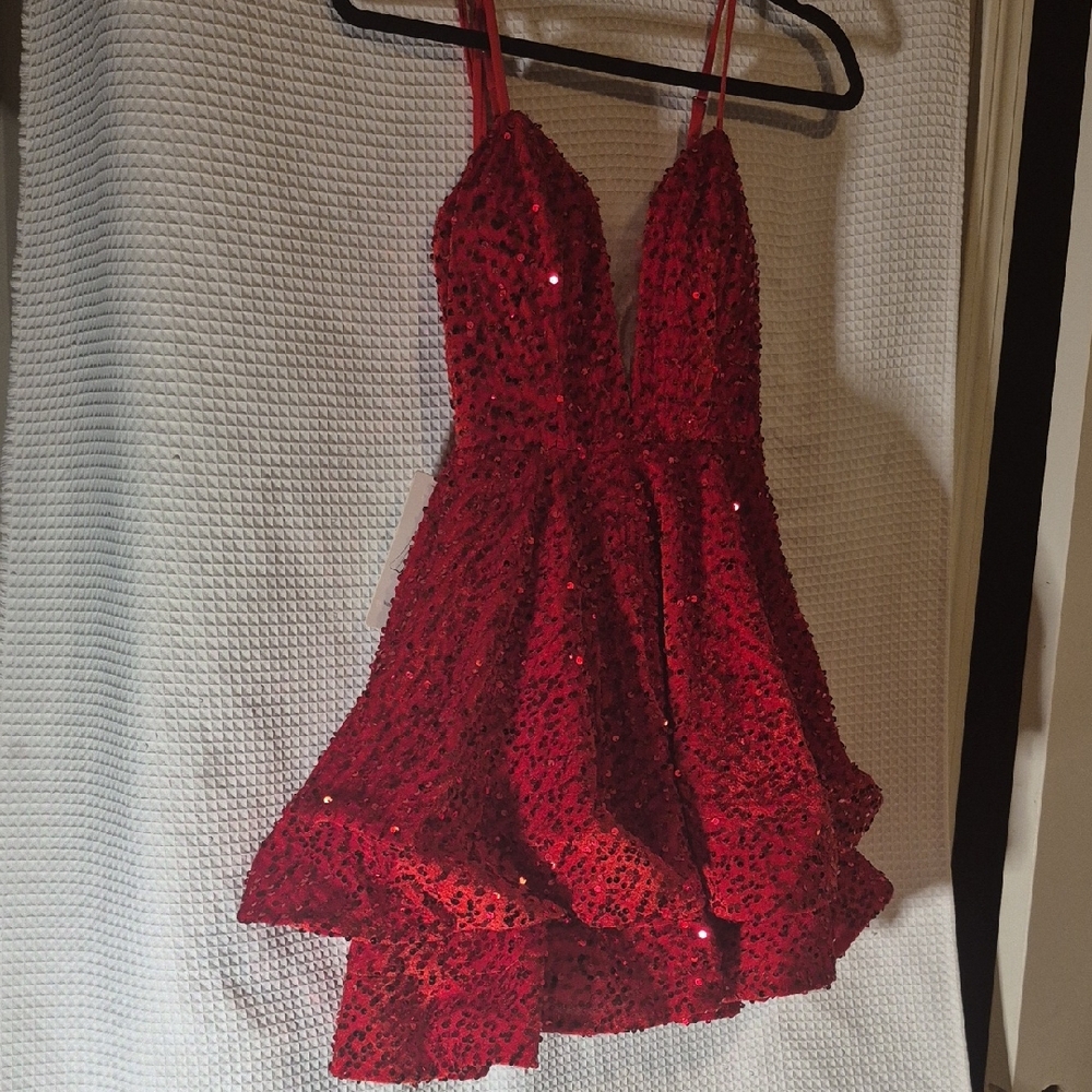 Stunning Red Sequin Dress
